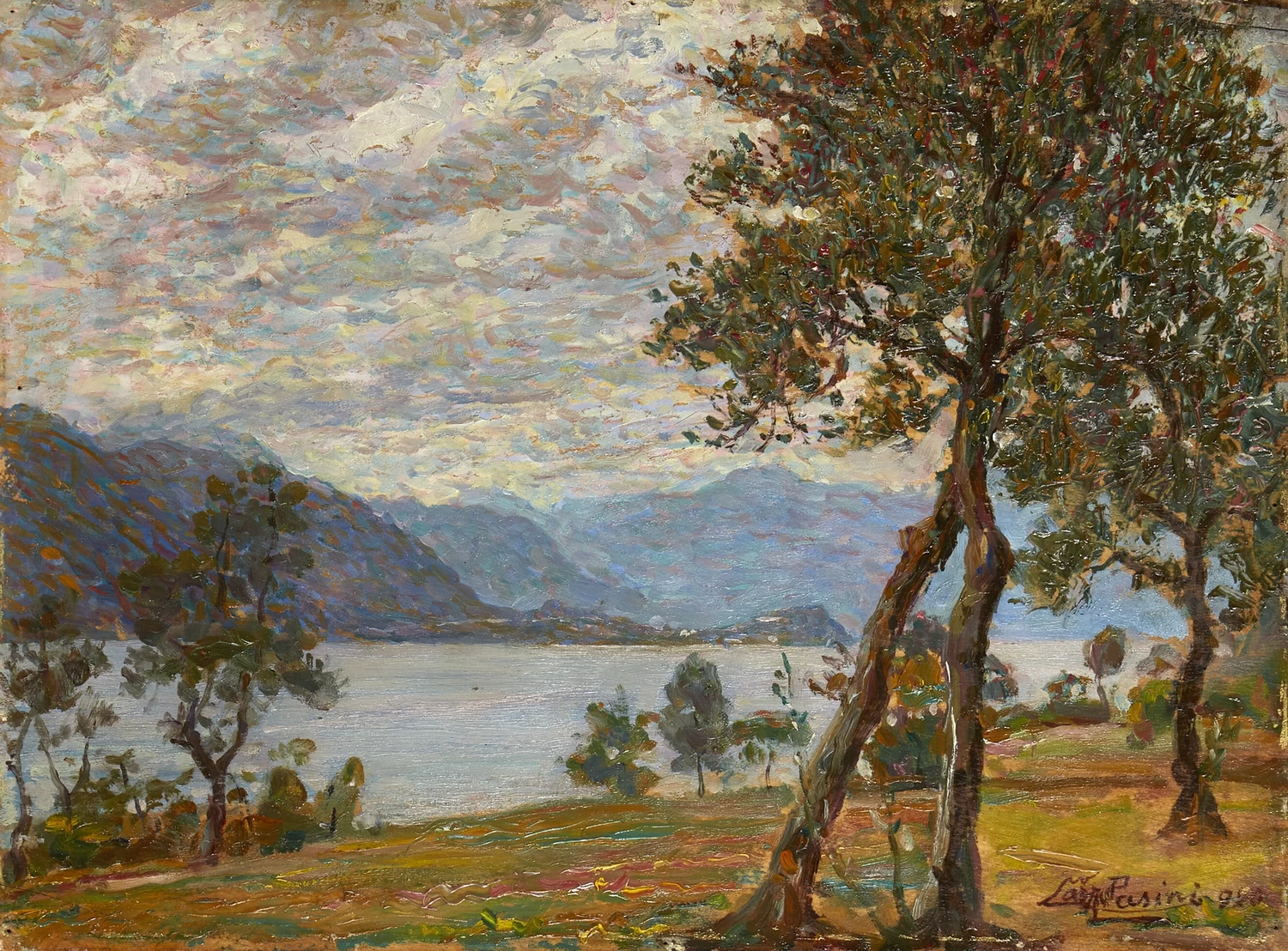 Gli ulivi del lago di Lecco